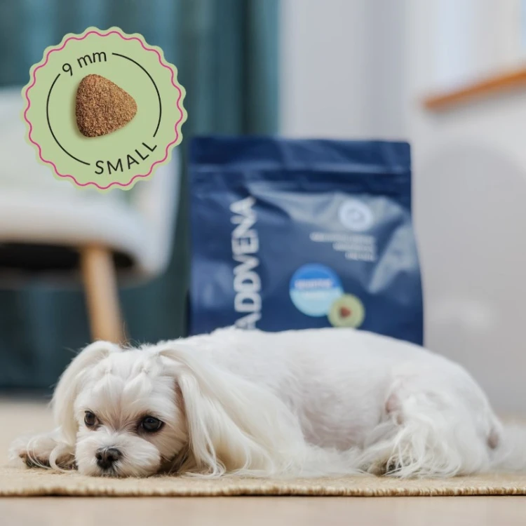 ADDVENA POWER OF NATURE Sensitive dla psów wrażliwych małych ras 2,5kg