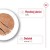 ROYAL CANIN SHN Medium Adult Loaf Can 410g