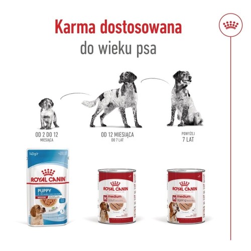 ROYAL CANIN SHN Medium Ageing Loaf Can 410g