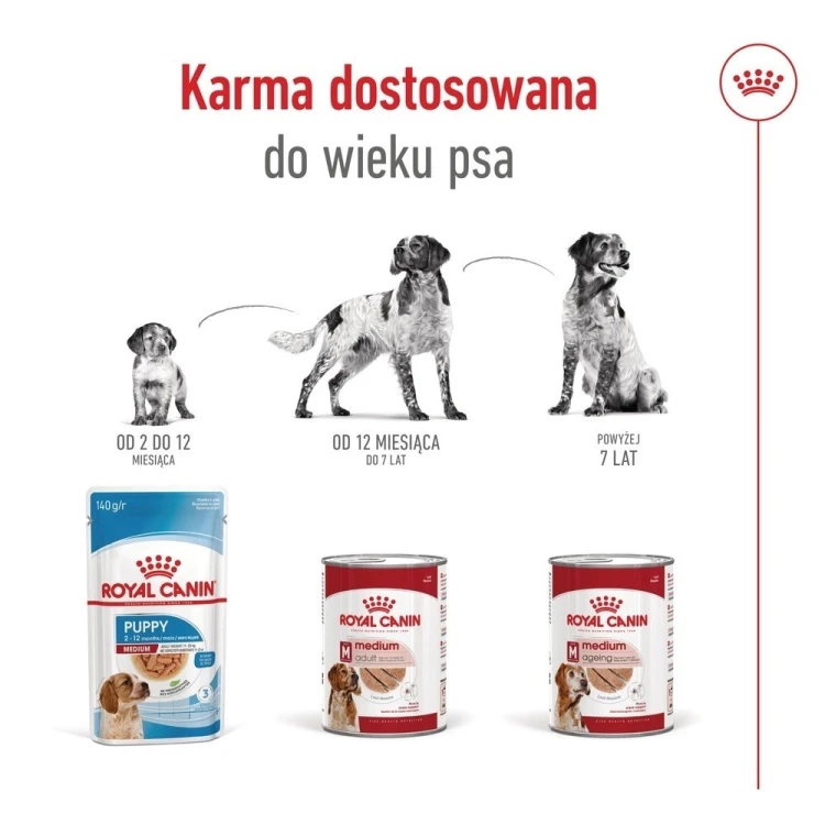 ROYAL CANIN SHN Medium Ageing Loaf Can 410g