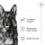 ROYAL CANIN SHN Maxi Adult Loaf Can 410g