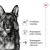ROYAL CANIN SHN Maxi Ageing Loaf Can 410g