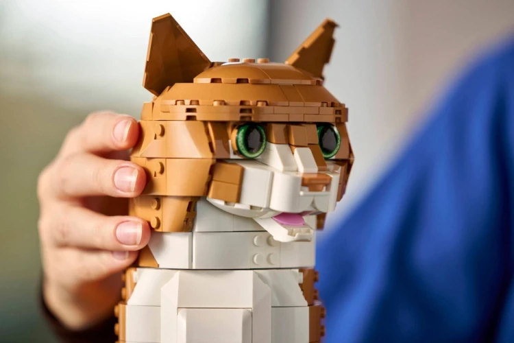 LEGO Ideas 21376 - Rudy kot