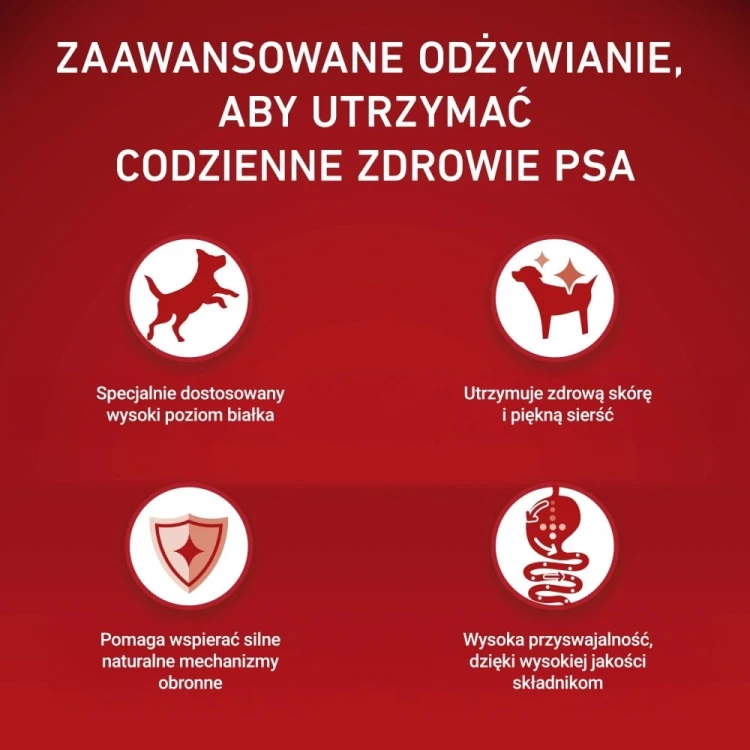 PURINA ONE MINI Dog Adult Beef & Rice 1,5kg