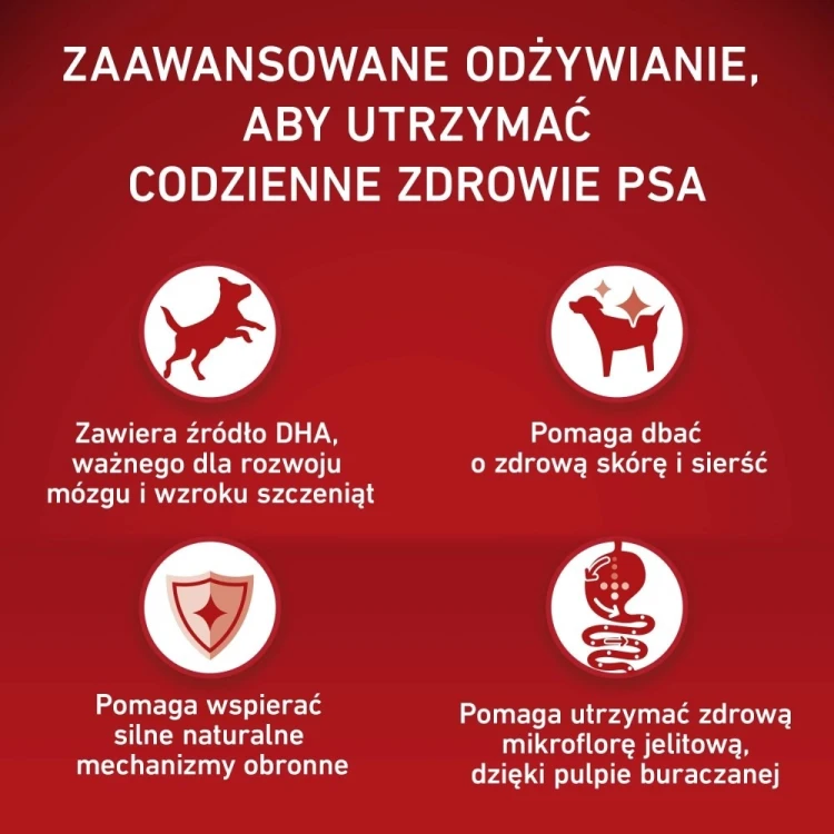 PURINA ONE MED/MAX Junior Chicken & Rice 2,5kg