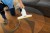 Myjka do okien KARCHER WV 2 Universal Care - 1.633-671.0