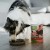 ANIMAL ISLAND Monoproteinowa indyk dla psa 300g