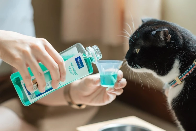 VIRBAC VET AQUADENT płyn do higieny jamy ustnej 250ml