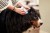 VIRBAC EPI-OTIC S-I-S dla psa i kota 60ml