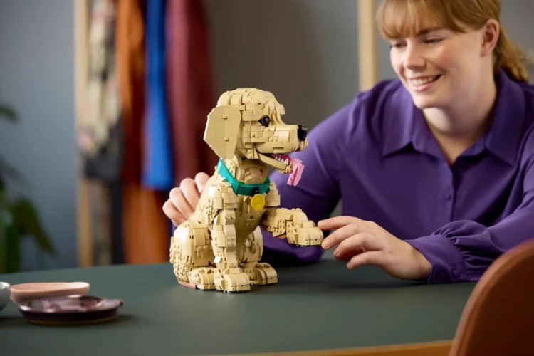 LEGO 11384 Icons - Szczeniak golden retriever