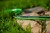 Wąż ogrodowy CELLFAST Green ATS2 15-120 (25000 mm)