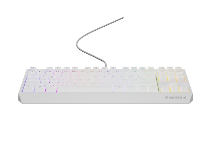 GENESIS Thor 230 TKL klawiatura USB + RF QWERTY