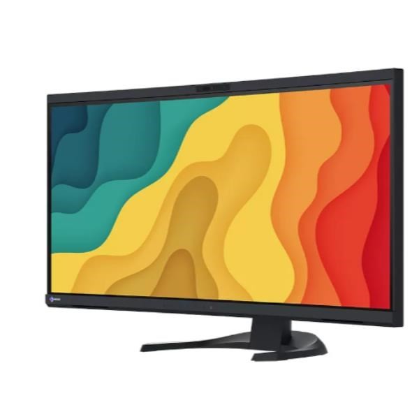 Monitor EIZO FlexScan EV3450XC-BK 34.1" - Płaski ekran - 86.6 cm