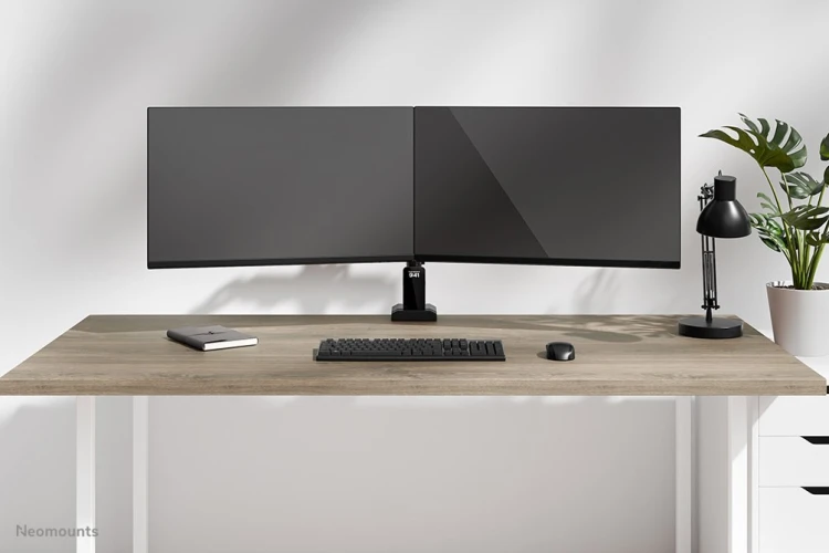 Uchwyt do monitora na biurko / Dual DS60-600BL2 NEOMOUNTS