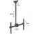 Techly ICA-CPLB 946S uchwyt do tablic informacyjnych 177,8 cm (70") Czarny