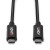 Lindy 43348 kabel USB USB 3.2 Gen 2 (3.1 Gen 2) 3 m USB C Czarny