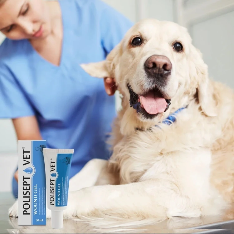 JM SANTE POLISEPT VET GEL opatrunek żelowy 30ml