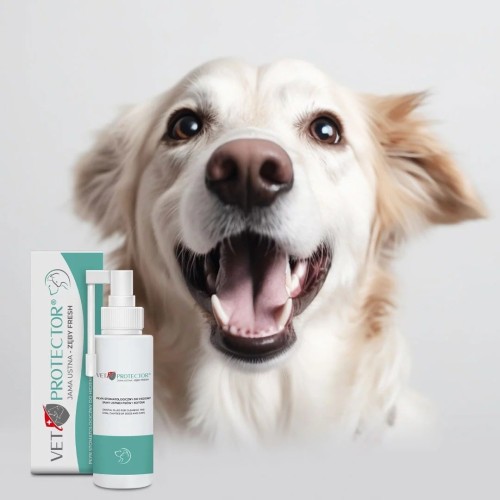 JM SANTE VET PROTECTOR JAMA USTNA ZĘBY FRESH płyn 100ml