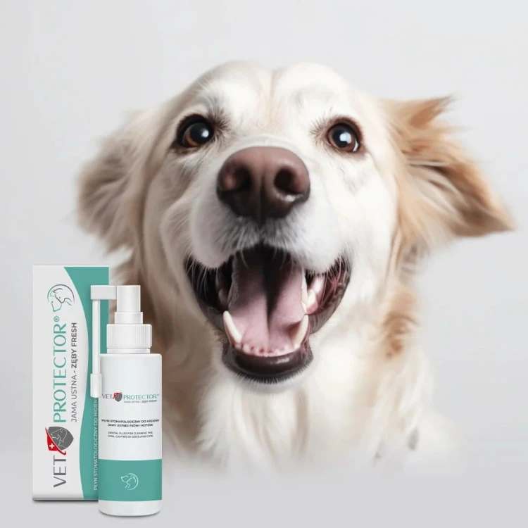 JM SANTE VET PROTECTOR JAMA USTNA ZĘBY FRESH płyn 100ml
