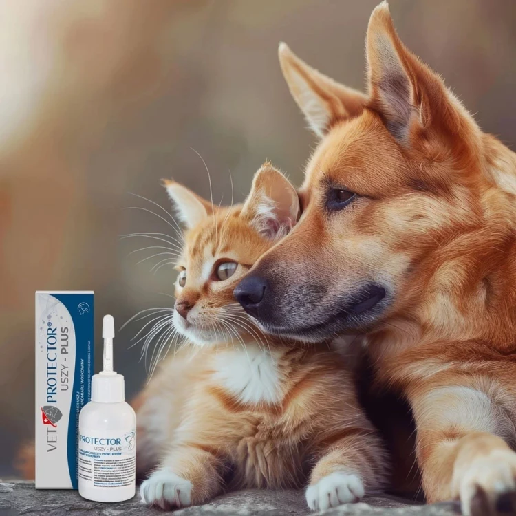 JM SANTE VET PROTECTOR USZY PLUS płyn do pielęgnacji uszu 50 ml