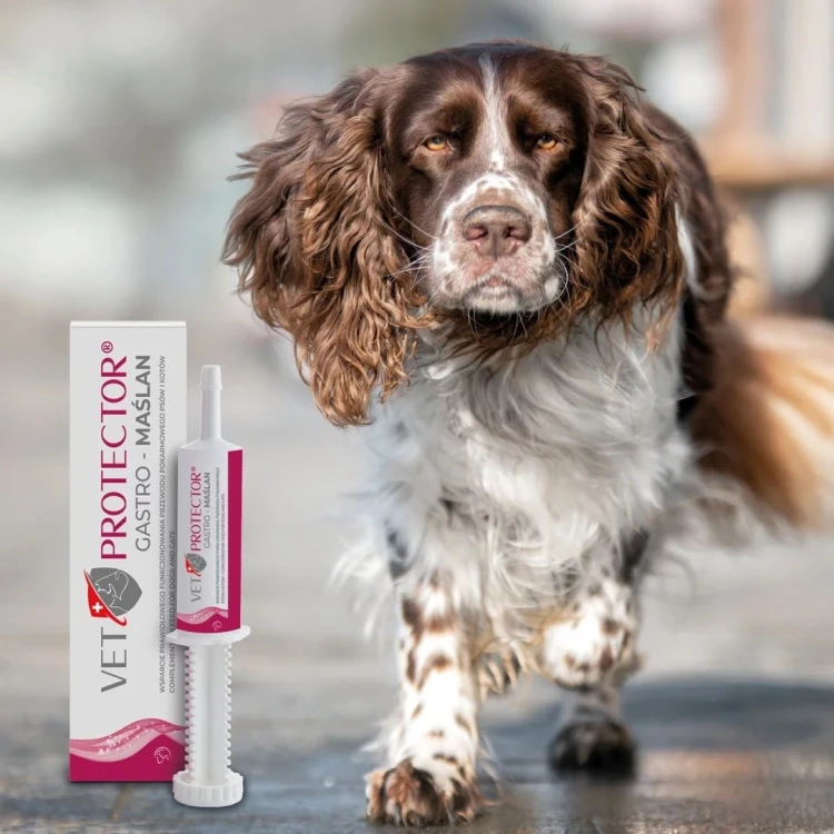 JM SANTE VET PROTECTOR GASTRO - MAŚLAN 60 ml