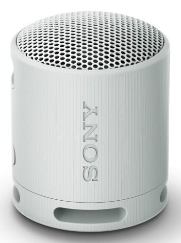 Sony SRS-XB100 Głośnik mono przenośny Szary