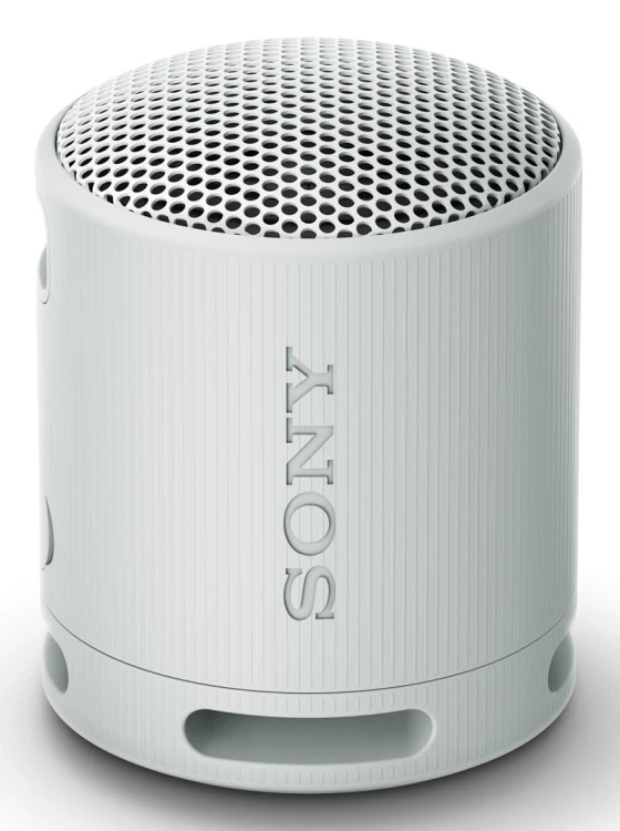 Sony SRS-XB100 Głośnik mono przenośny Szary