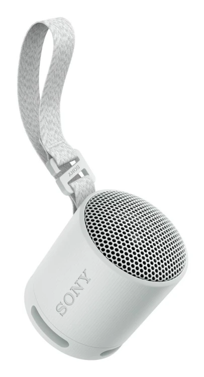 Sony SRS-XB100 Głośnik mono przenośny Szary
