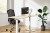 Neomounts DS70-250SL1 uchwyt / stojak do monitorów 88,9 cm (35") Biurko Srebrny