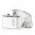Petkit Fontanna do picia Eversweet Max