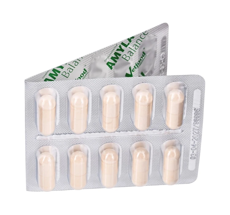 Vetfood Amylactiv Balance na trawienie pies i kot 60 kapsułek