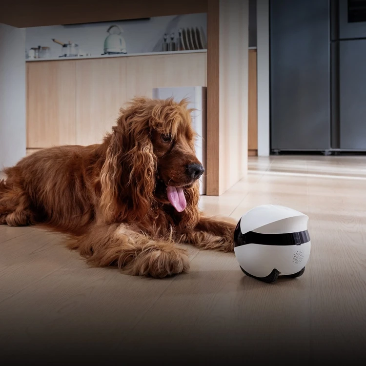Robot ENABOT Ebo AIR 2 Plus - domowy towarzyszący z funkcją monitoringu i rozmów video (biały)