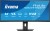Monitor iiyama XCB3497WQSNP-B1 34" - Płaski ekran - 86,4 cm