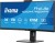 Monitor IIYAMA 86,4cm (34") XCB3497WQSNPH-B1 21:9 HDMI+DP+USB-C Webc