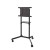 Zestaw TV Floor Stand 37-70" NS-M1250BLACK NEWSTAR
