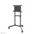 Zestaw TV Floor Stand 37-70" NS-M1250BLACK NEWSTAR