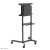 Zestaw TV Floor Stand 37-70" NS-M1250BLACK NEWSTAR