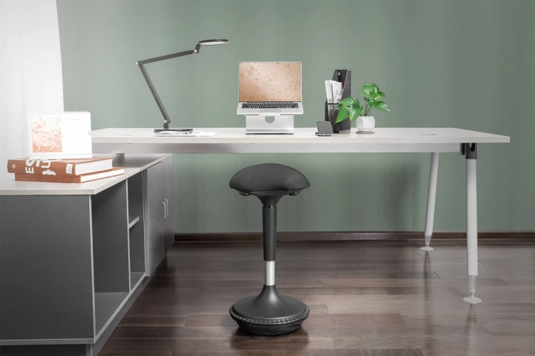 Digitus Ergonomiczny stołek / pomoc do pozycji stojącej, z regulowaną wysokością za pomocą sprężyny gazowej