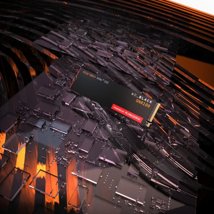 SSD WD Black SN8100 w/o HS 1TB  WDS100T1X0M