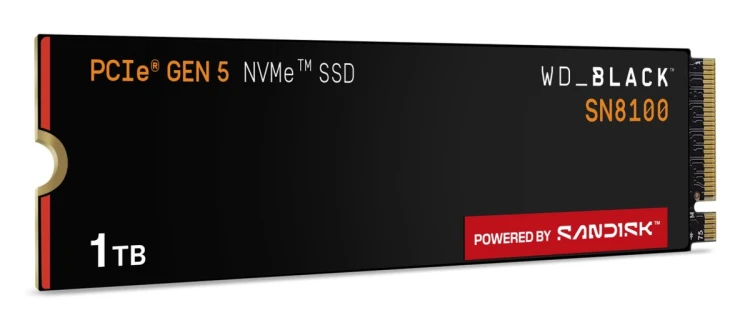 SSD WD Black SN8100 w/o HS 1TB  WDS100T1X0M