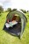 Coleman Darwin 4 Plus 4 os. Zielony Namiot kopułowy / Igloo