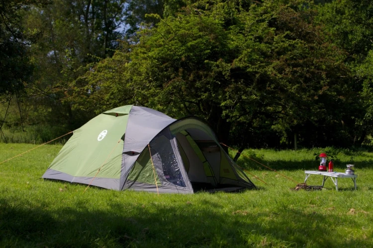 Coleman Darwin 4 Plus 4 os. Zielony Namiot kopułowy / Igloo