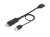 Equip 119039 adapter kablowy 0,15 m HDMI Typu A (Standard) DisplayPort Czarny