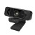 LogiLink UA0381 kamera internetowa 1920 x 1080 px USB 2.0 Czarny
