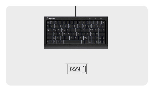 KeySonic KSK-3011ELC (DE) klawiatura Dom USB QWERTZ Niemiecki Czarny