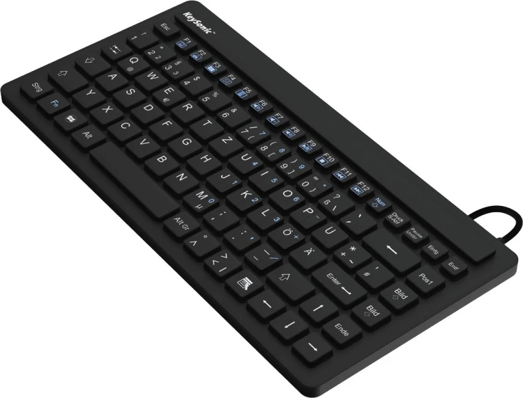 KeySonic KSK-3230IN (US) klawiatura Przemysłowy USB QWERTY US English Czarny