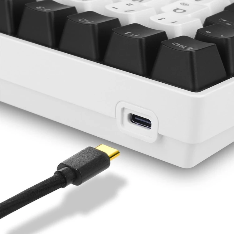 Klawiatura gamingowa Sharkoon SKILLER SGK50 S3 USB QWERTZ Niemiecki Biała