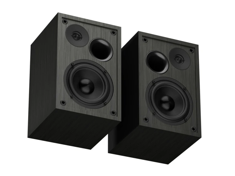 GENESIS NGS-2343 głośnik Czarny Przewodowy i Bezprzewodowy 20 W