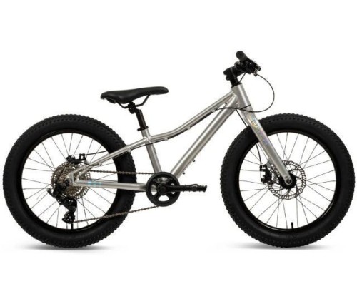 Rower MTB Batch Alu 20” silver (B374555W)