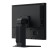 Monitor EIZO FlexScan S2134 - 54,1 cm (21,3") - 1600 x 1200 pikseli - UXGA - LED - 6 ms